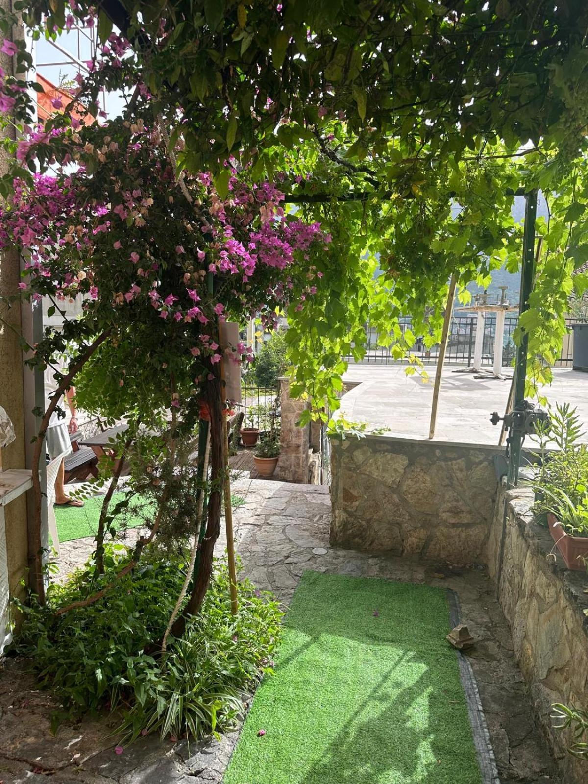 Themis Apart Hotel Kotor Buitenkant foto
