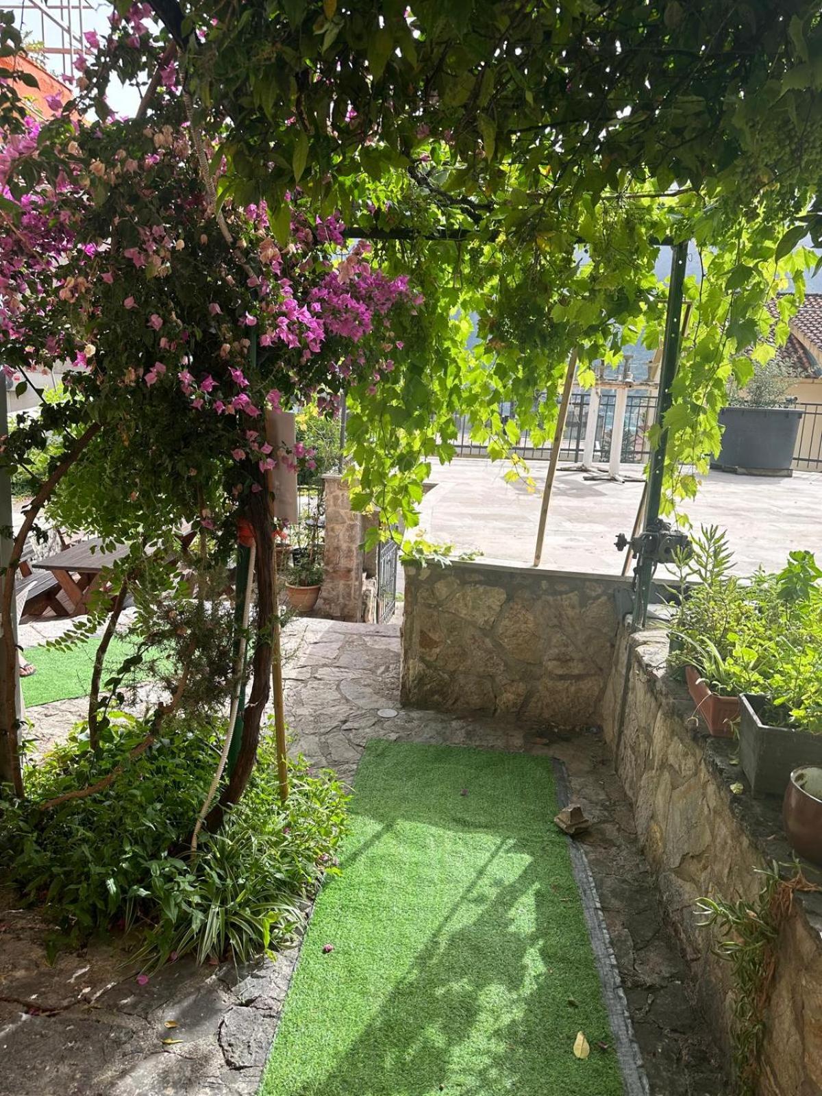 Themis Apart Hotel Kotor Buitenkant foto