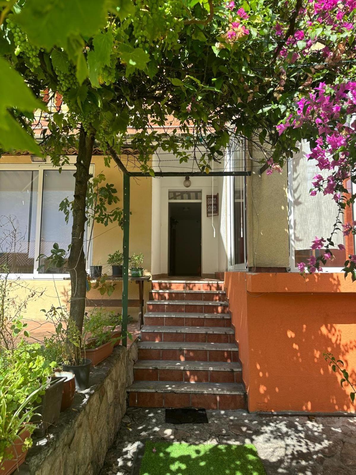 Themis Apart Hotel Kotor Buitenkant foto